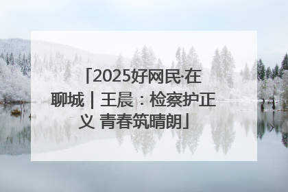 2025好网民·在聊城｜王晨：检察护正义 青春筑晴朗