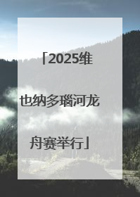 2025维也纳多瑙河龙舟赛举行