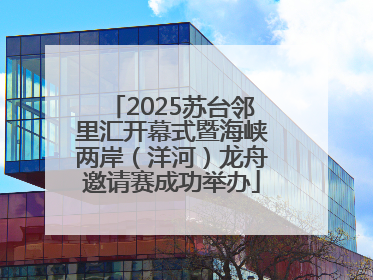 2025苏台邻里汇开幕式暨海峡两岸（洋河）龙舟邀请赛成功举办