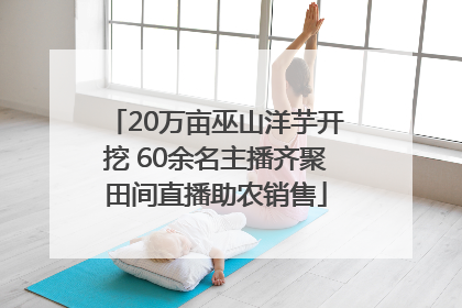 20万亩巫山洋芋开挖 60余名主播齐聚田间直播助农销售