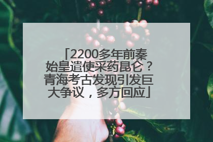 2200多年前秦始皇遣使采药昆仑？青海考古发现引发巨大争议，多方回应