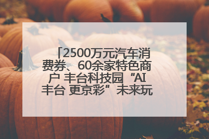 2500万元汽车消费券、60余家特色商户 丰台科技园“AI丰台 更京彩”未来玩家市集活动正式开幕