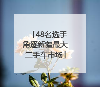 48名选手角逐新疆最大二手车市场