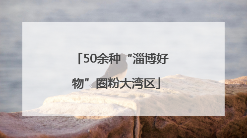 50余种“淄博好物”圈粉大湾区