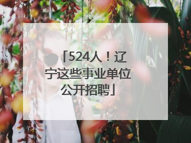 524人！辽宁这些事业单位公开招聘