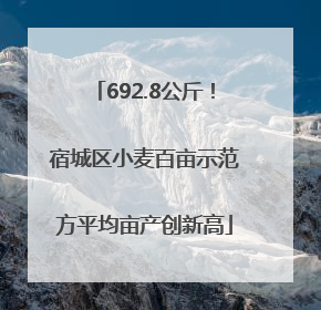 692.8公斤！宿城区小麦百亩示范方平均亩产创新高