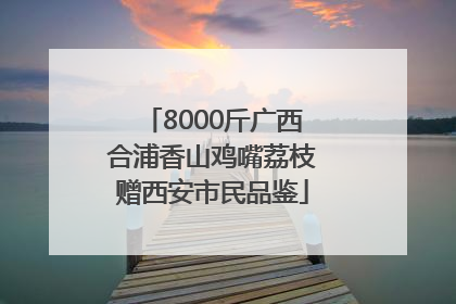 8000斤广西合浦香山鸡嘴荔枝赠西安市民品鉴
