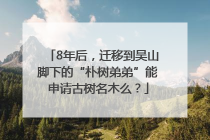 8年后，迁移到吴山脚下的“朴树弟弟”能申请古树名木么？