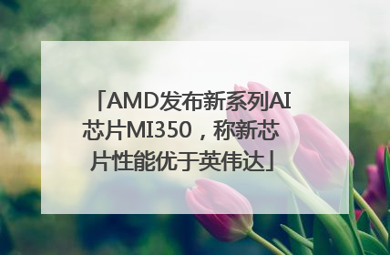 AMD发布新系列AI芯片MI350，称新芯片性能优于英伟达