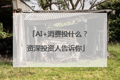 AI+消费投什么？资深投资人告诉你