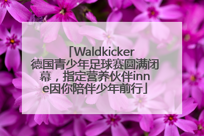 Waldkicker德国青少年足球赛圆满闭幕，指定营养伙伴inne因你陪伴少年前行